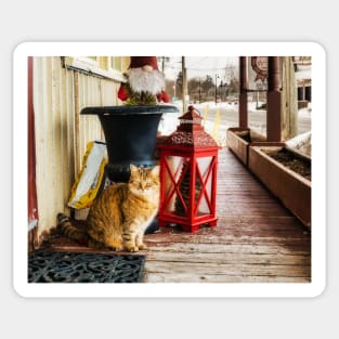 Country Store Cat 3 Sticker